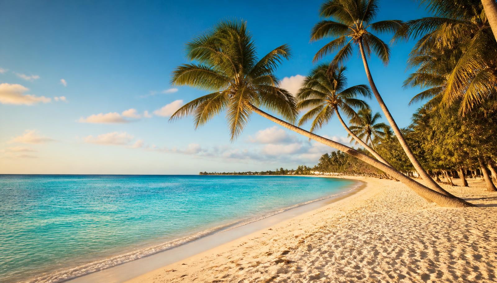 Experience the Cayman Islands — CURATED by Czerlonka