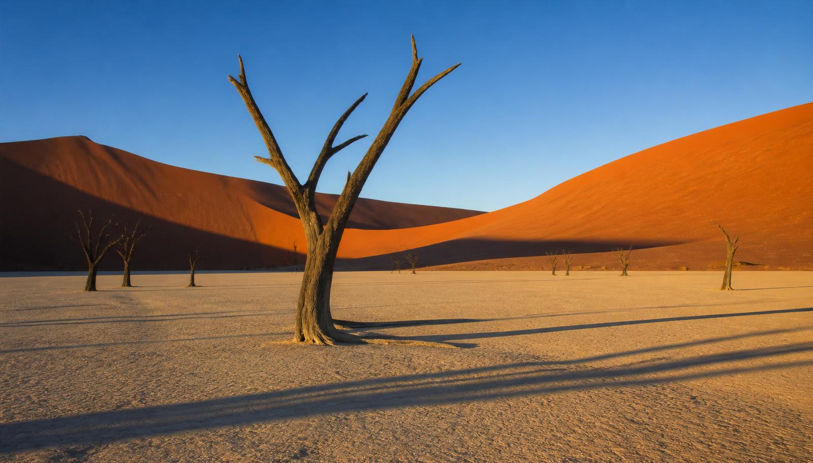 Namibia — by light aircraft