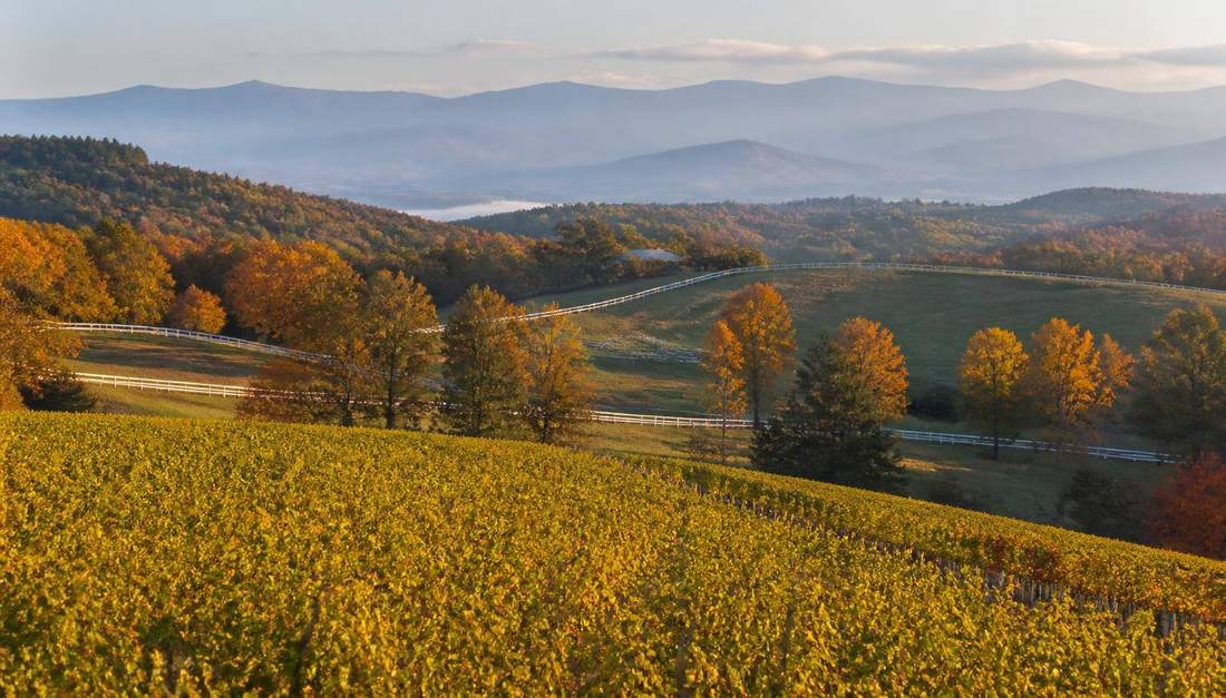 Experience Virginia — CURATED by Czerlonka