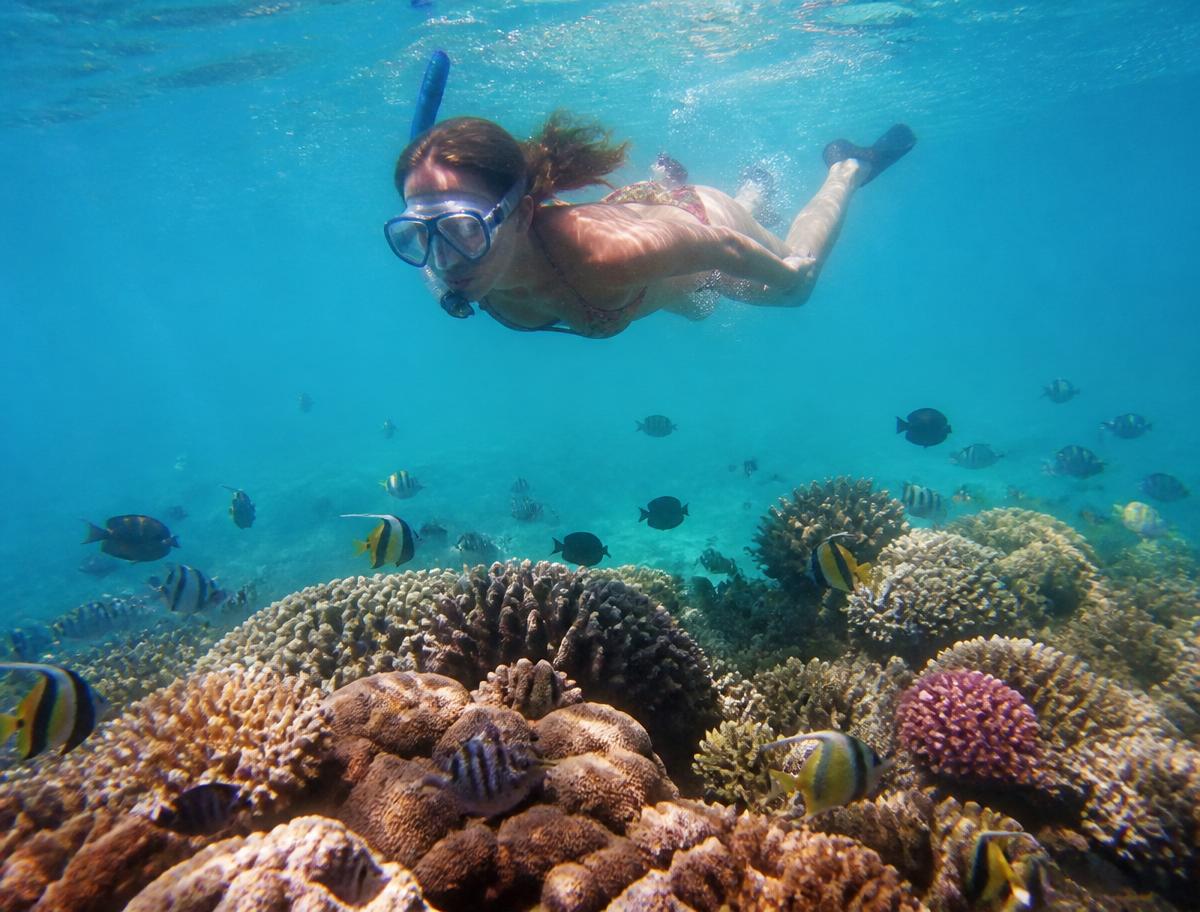 Reef snorkelling straight off the sand.